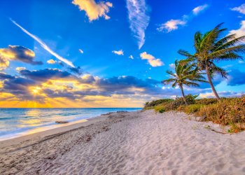 Discover The Palm Beaches