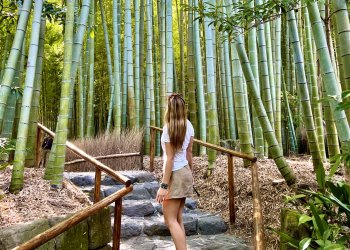 Kamakura - Temples, Bamboo & Beach Breezes
