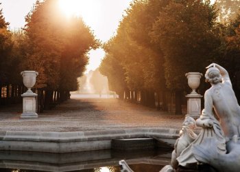Vienna Is Calling…