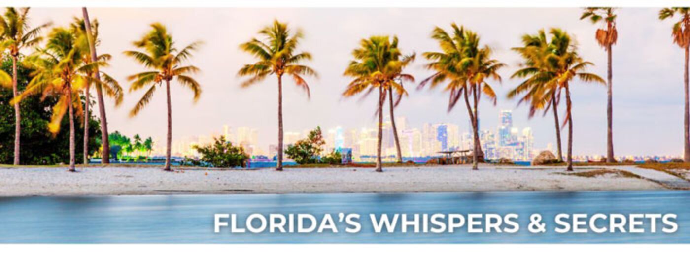 
Florida - Where every wave tells a story & palms whisper secrets
